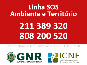 Linha SOS Ambiente e Terrítório